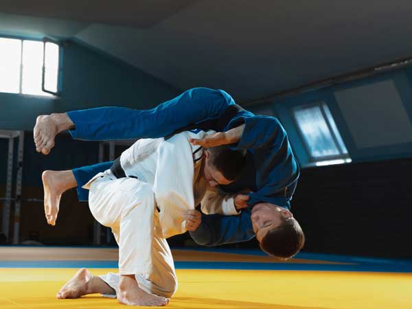 Karate, Judo, Silat Karate, Judo, Silat